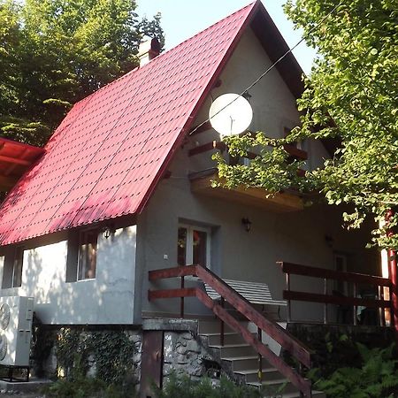 Pietroasa  Casa De Oaspeti Boga מראה חיצוני תמונה
