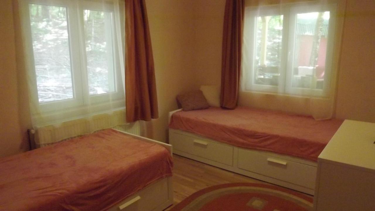 Pietroasa  Casa De Oaspeti Boga מראה חיצוני תמונה