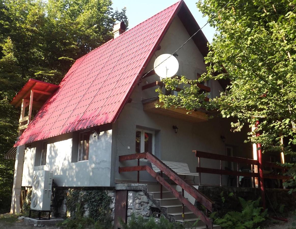 Pietroasa  Casa De Oaspeti Boga מראה חיצוני תמונה