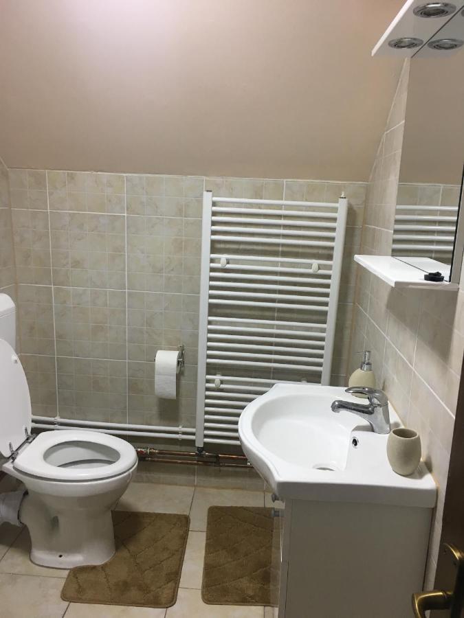 Pietroasa  Casa De Oaspeti Boga מראה חיצוני תמונה